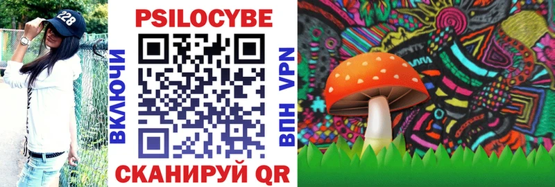 Галлюциногенные грибы Magic Shrooms  мориарти Telegram  Зуевка  OMG ССЫЛКА 